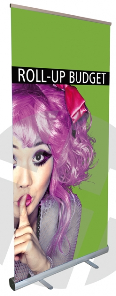 Roll-Up Budget 100_SP